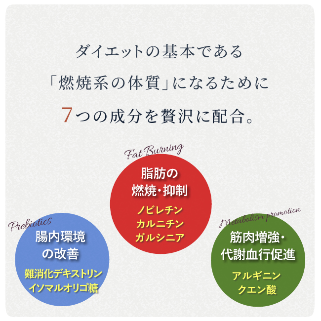 ダイエット サプリ 脂肪燃焼 筋肉増加 腸もキレイに 沖縄産シークワーサー ノビレチン ガルシニア カルニチン アルギニン 難消化デキストリン含有 アットモア 琉球ダイエットパワーシェイク 5g 21包 Ocrmglobal Com