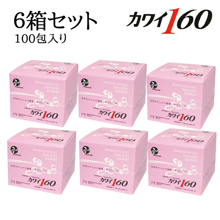 楽天市場】Kawai カワイ300 乳酸球菌カワイ株 300mg含有/包 100包入り