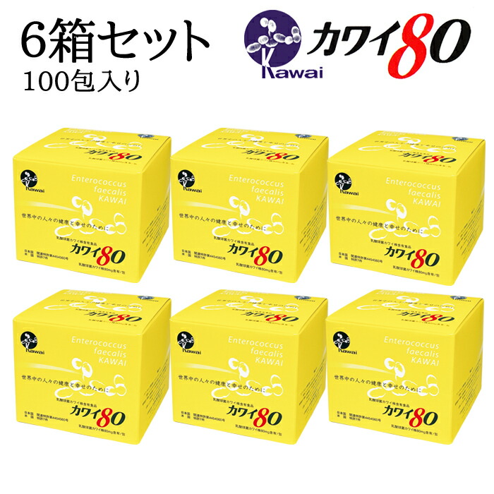 楽天市場】Kawai カワイ300 乳酸球菌カワイ株 300mg含有/包 100包入り