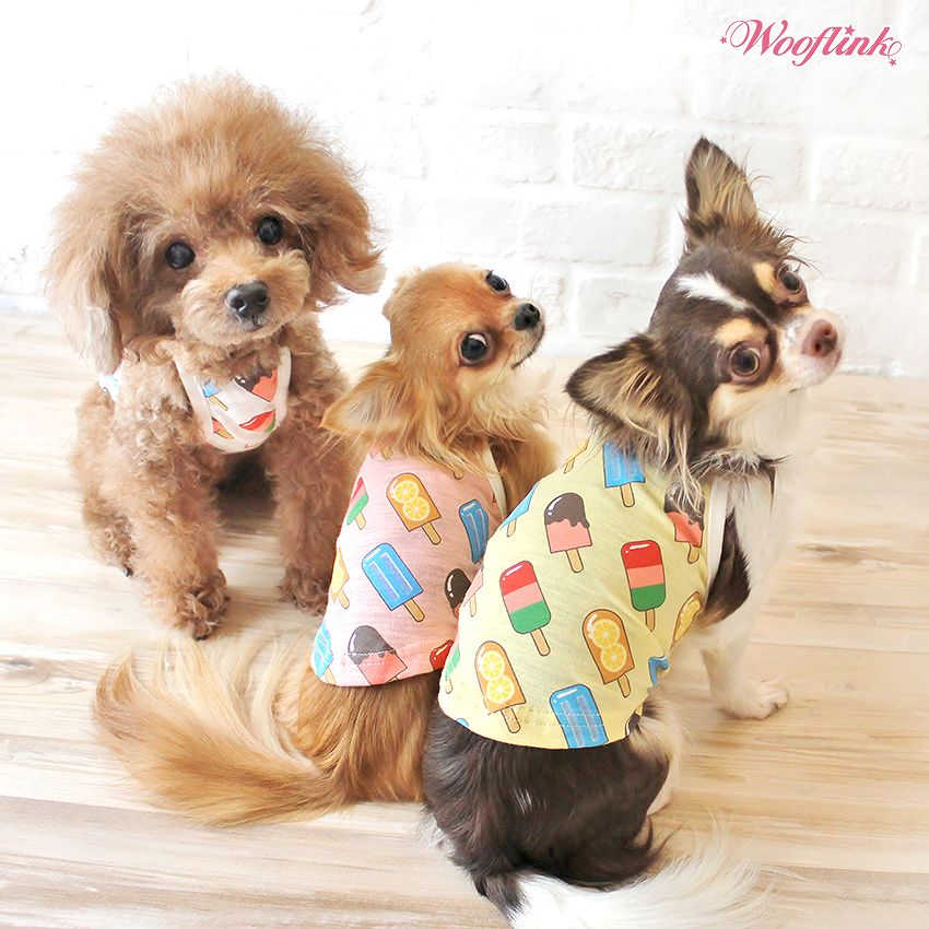 楽天市場 メール便対象 Wooflink ウーフリンク Popsicles 犬服 小型犬 セレブ キャミソール アイスクリーム Pop 犬服 ブランド Jewelcake楽天市場店