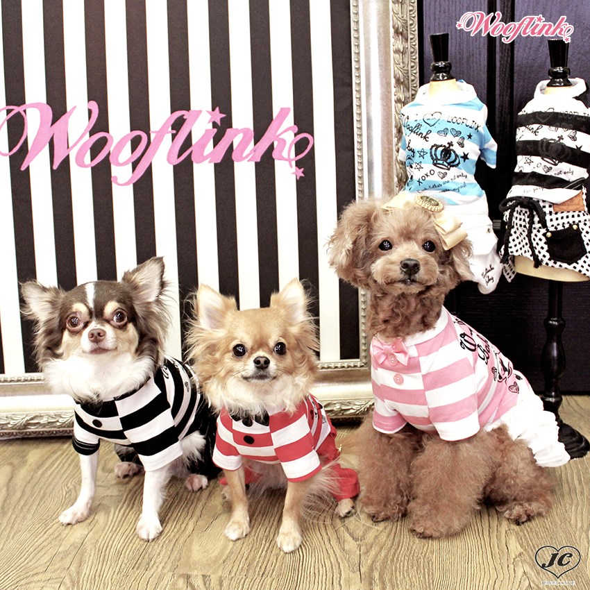 【送料無料】MUST-HAVE JACKET ウーフリンク ジャケット プルオーバー Ｇジャン 上着【犬服 ブランド】  JEWELCAKE