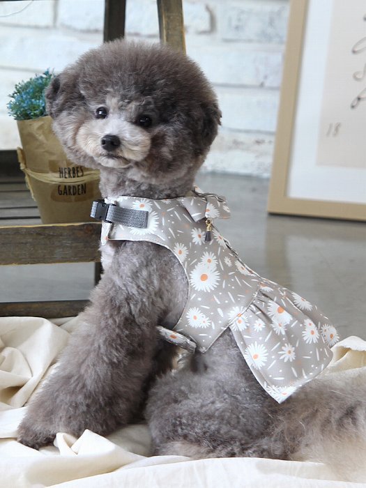 メール便無料 タンポポドレスハーネスset 小型犬 犬用 リード ハーネス 胴輪 セレブ デザイン 花柄 シンプル 上質 たんぽぽ 犬服 ブランド Napierprison Com