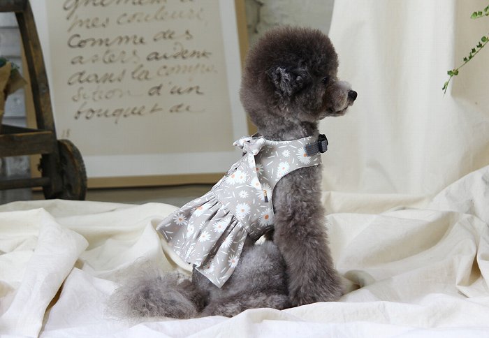 メール便無料 タンポポドレスハーネスset 小型犬 犬用 リード ハーネス 胴輪 セレブ デザイン 花柄 シンプル 上質 たんぽぽ 犬服 ブランド Napierprison Com