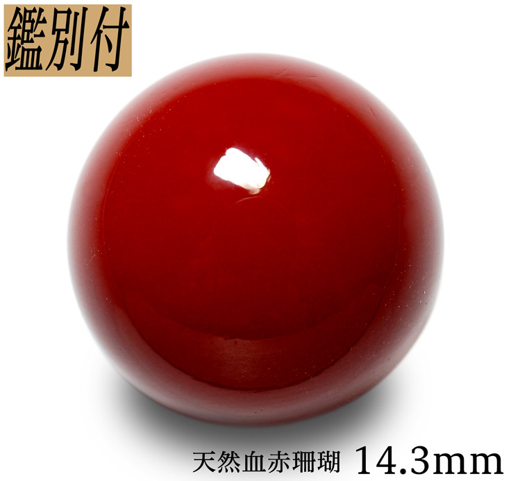 桃珊瑚 サンゴ 11.8mm 両穴ルース 2.35g 本珊瑚 i970a+bonfanti.com.br