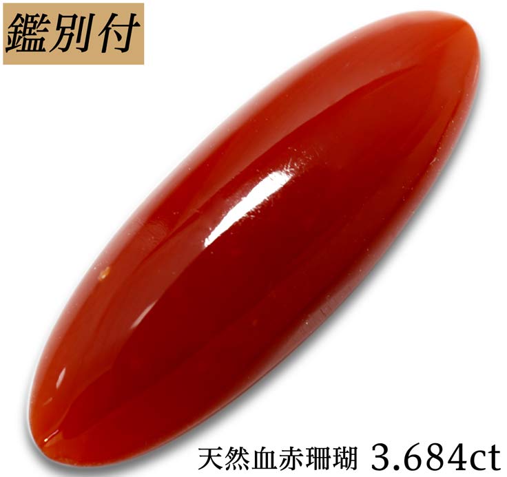 鑑別付 天然 血赤珊瑚 3 684ct 日本産 珊瑚 サンゴ 本珊瑚 ルース 原石 宝石 裸石 ナチュラルストーン ジェムストーン 加工承ります Islandfavours Com