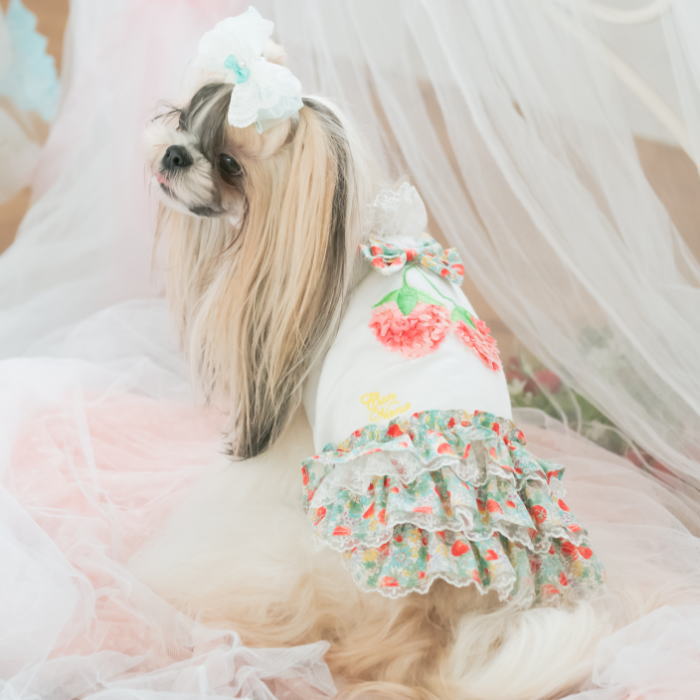 きゃんナナ 犬用 フェアリーチュールワンピース Ｌサイズ ホワイト 楽天市場】犬服 夏 ドレス 動画あり 夏服 犬服 ドッグウェア