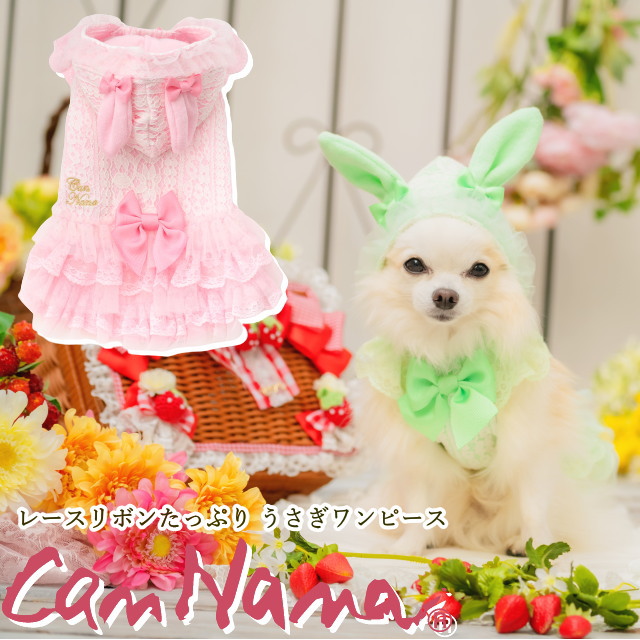きゃんナナ 犬用 フェアリーチュールワンピース Ｌサイズ ホワイト 楽天市場】犬服 夏 ドレス 動画あり 夏服 犬服 ドッグウェア