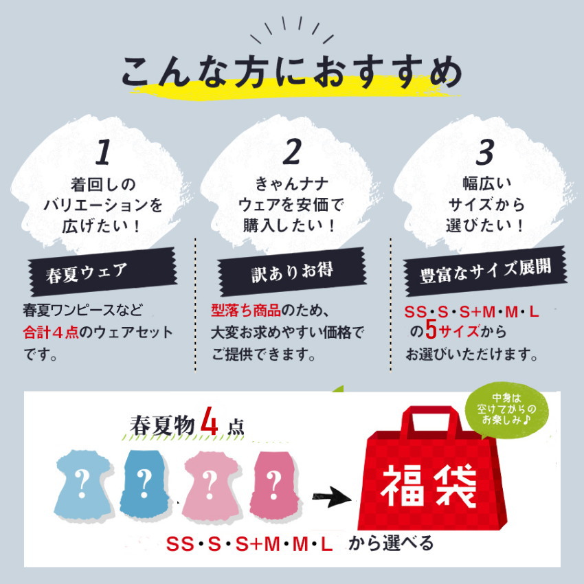 犬服 セール 夏服 ブランド キャンナナ 女の子用春夏ウェア4点セット お買い得 Sale 数量限定 即納 Ss Lサイズ 送料無料 メール便配送 ガールズ ビギナー向け Sermus Es