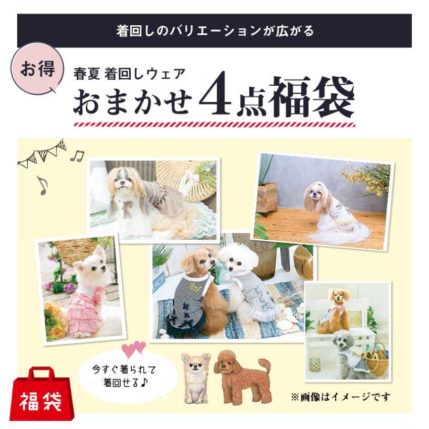 犬服 セール 夏服 ブランド キャンナナ 女の子用春夏ウェア4点セット お買い得 Sale 数量限定 即納 Ss Lサイズ 送料無料 メール便配送 ガールズ ビギナー向け Sermus Es