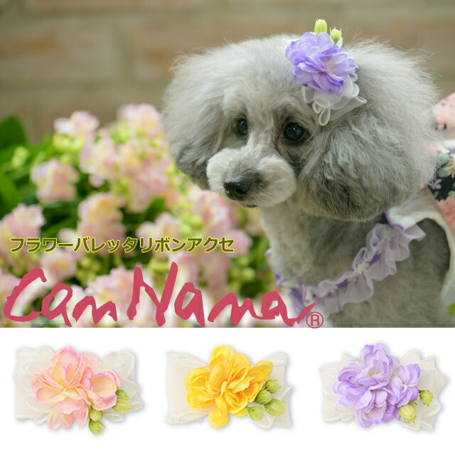 楽天市場】猫 犬アクセ 犬のアクセサリー 犬のリボン CanNana 【きゃん