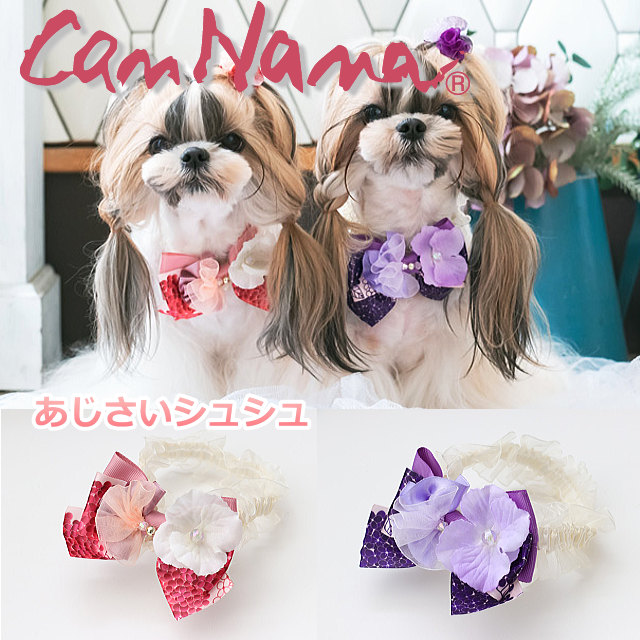 楽天市場】ハロウィン 犬 猫 シュシュ ゴーストハロウィンシュシュ きゃんナナ キャンナナ CANNANA ハロウィーン Halloween : 犬 服通販＊じゃんぐるぺっと