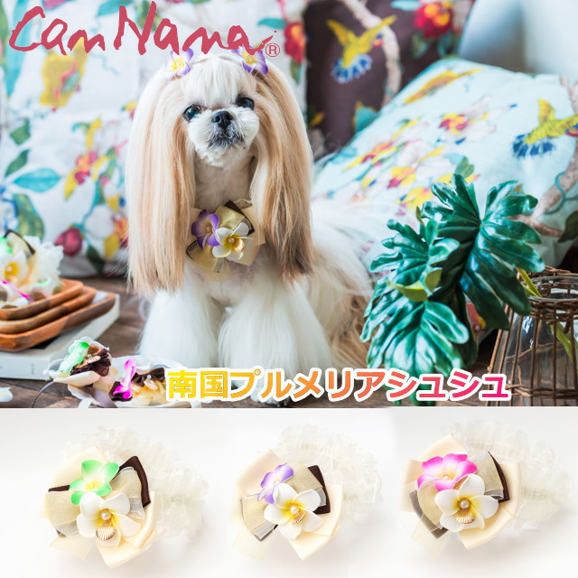 楽天市場】【クーポン配布中】CanNana 【きゃんナナ】パステルレインシュシュアクセ Lサイズ 犬のチョーカー 犬の首飾り 犬のアクセ 犬のシュシュ  猫のシュシュ 猫のアクセ : 犬服通販＊じゃんぐるぺっと