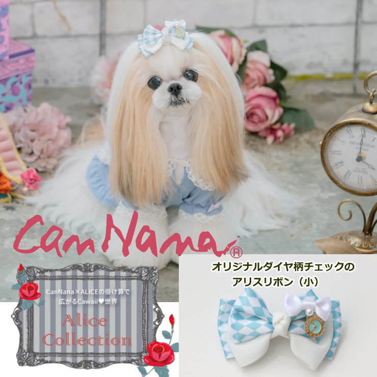 楽天市場】【クーポン配布中】猫 犬 ヘアーアクセ CanNana キャンナナ 不思議の国のアリスのヘッドドレス ヘアリボン 髪飾り アクセ  メール便対応 ハロウィーン arice ありす カチューシャ Halloween ハロウィン 小型犬 ヘアピン : 犬服通販＊じゃんぐるぺっと