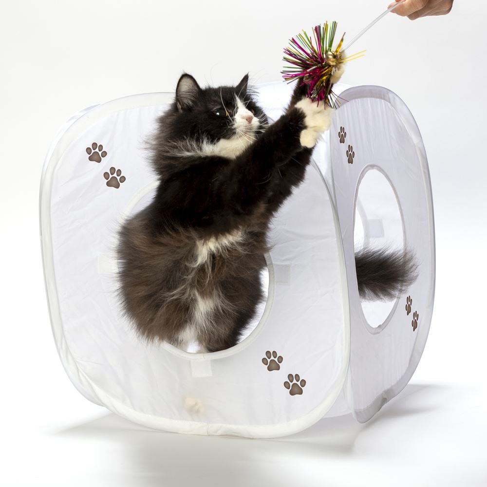 クーポン配布中 猫壱 キャットプレイキューブ トンネル おもちゃ ハウス 猫