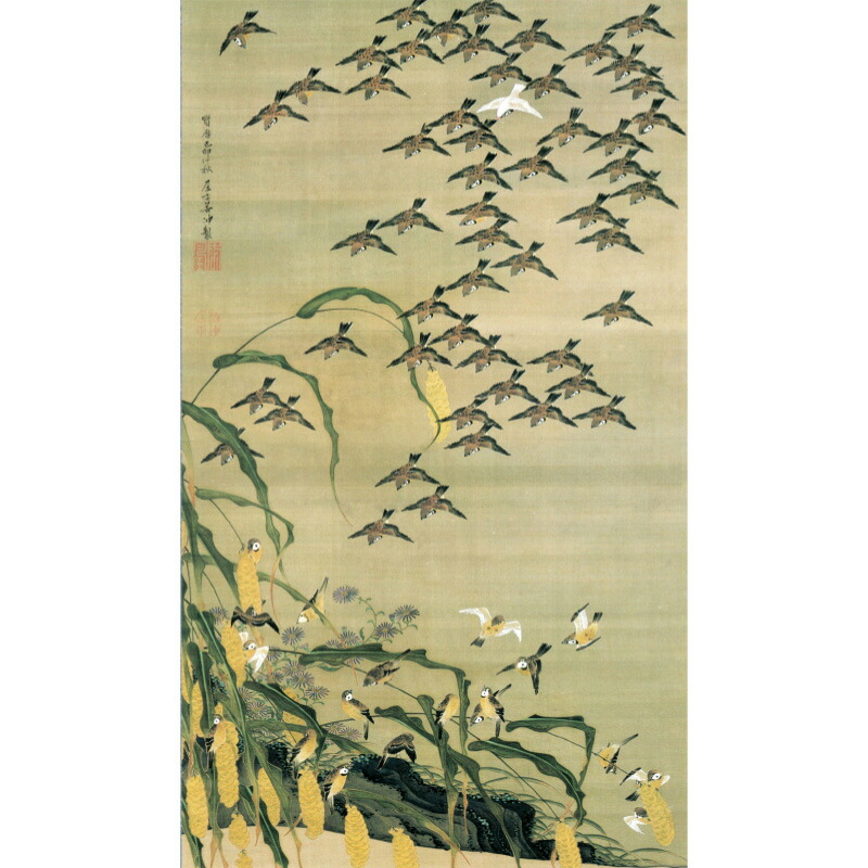 老松孔雀　伊藤若冲　掛軸 伊藤若冲 動植綵絵 老松孔雀図 高級仕様 掛軸 美術品 インテリア