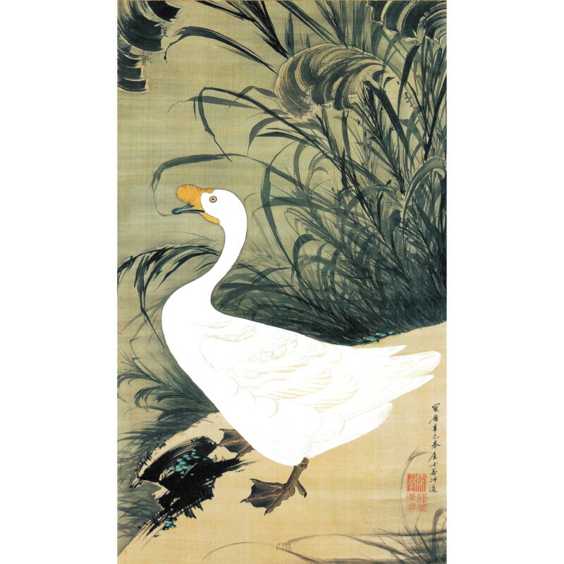 伊藤若冲 動植綵絵 芦鵞図 高級仕様 掛軸 美術品 インテリア 作品 複製画｜光ネット組合 店