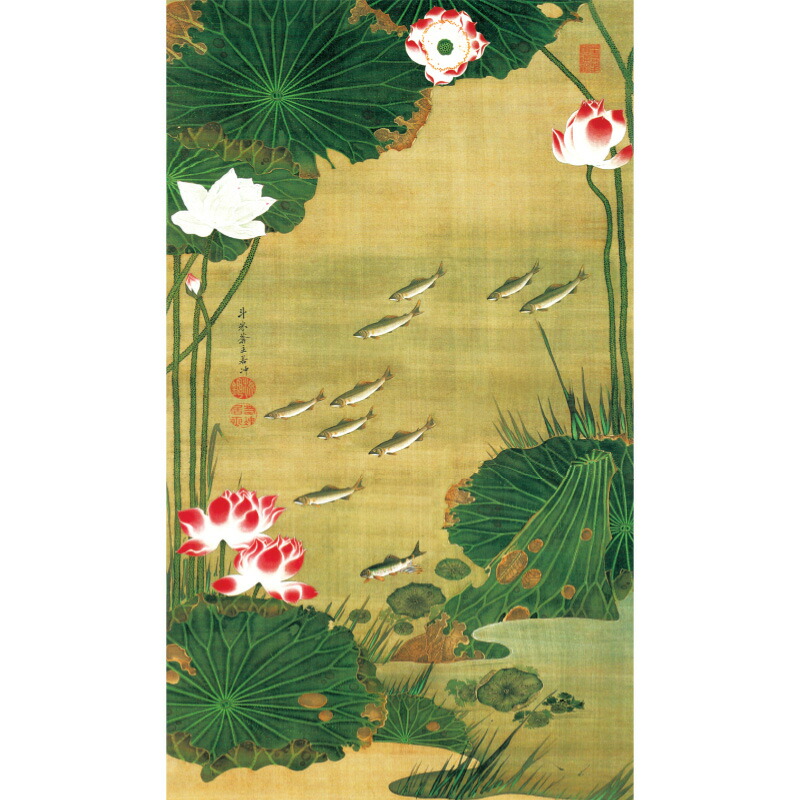 伊藤若冲 動植綵絵 蓮池遊魚図 高級仕様 掛軸 美術品 インテリア 作品 複製画