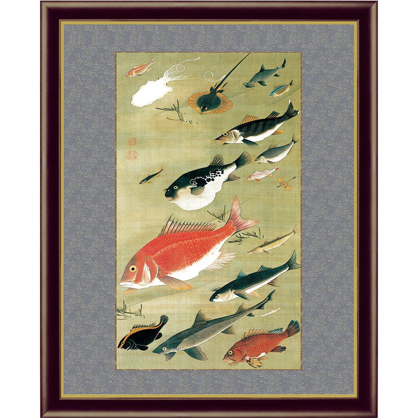 楽天市場】伊藤若冲 動植綵絵 群魚図（鯛） 高級仕様 掛軸 美術