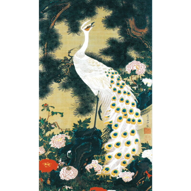 老松孔雀　伊藤若冲　掛軸 a032-113749.jpg