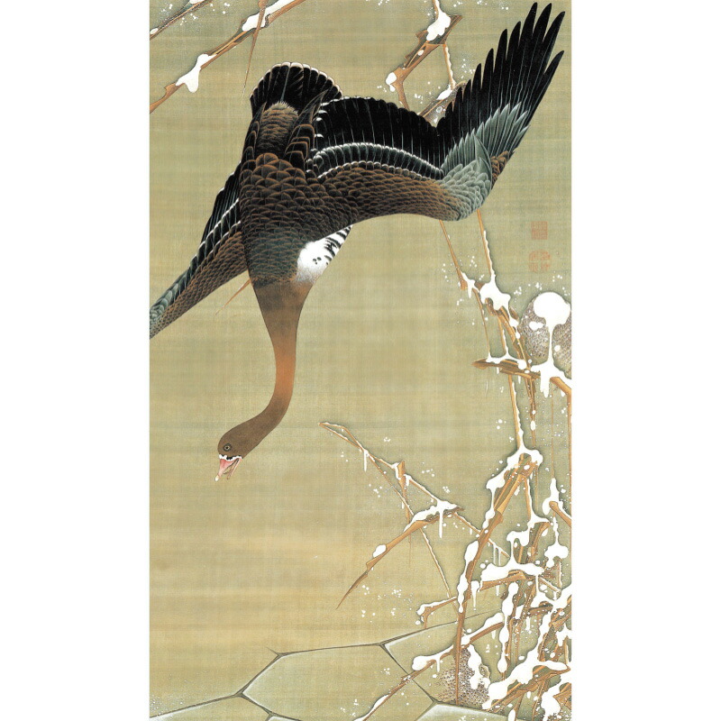 楽天市場】伊藤若冲 動植綵絵 芦雁図 高級仕様 掛軸 美術品