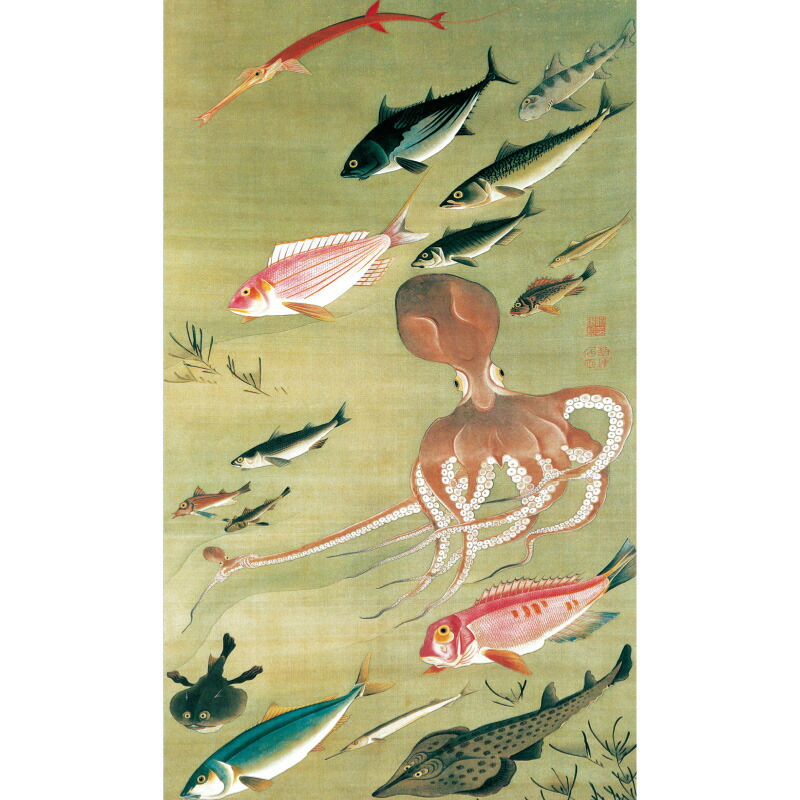 楽天市場】伊藤若冲 動植綵絵 老松孔雀図 高級仕様 額 美術品