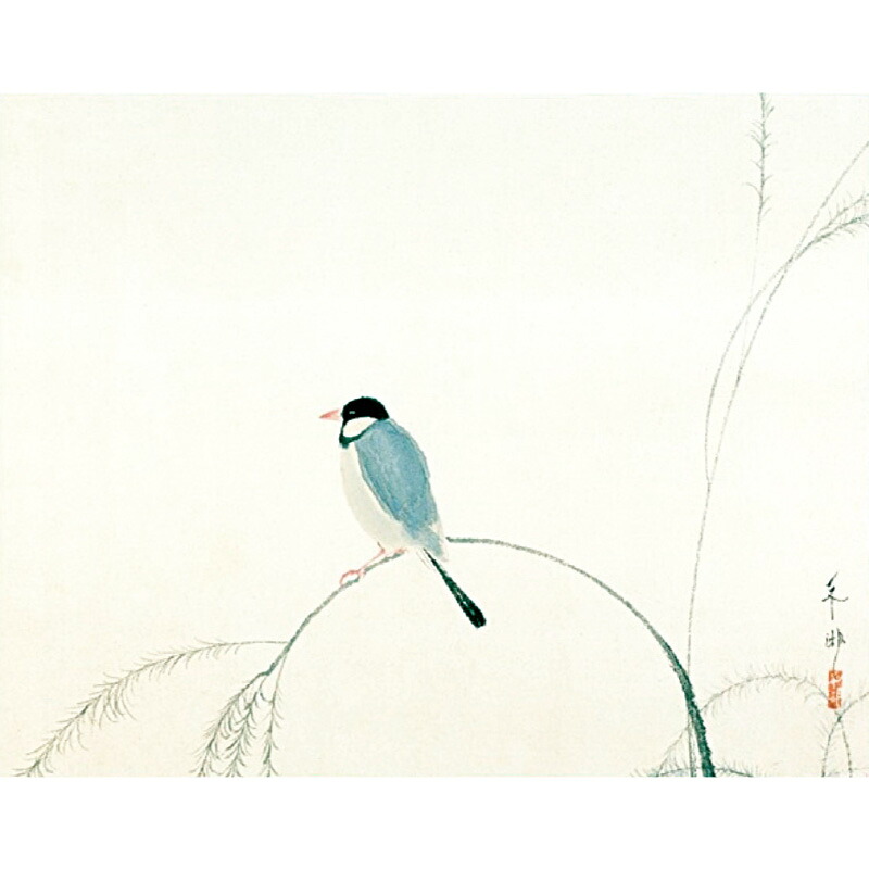 速水御舟『文鳥』標準掛軸