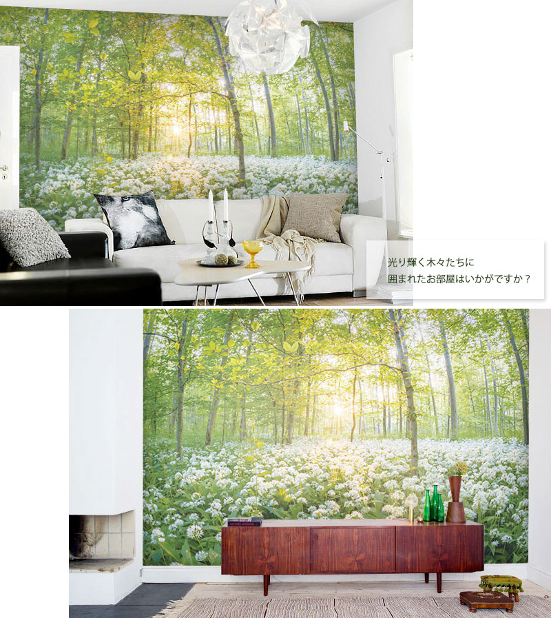 壁紙 フリース壁紙 Jebrille Wallpaper Komorebi 368cmx2 5m ダイアログボックス典礼 植物 グリーン ボタニカル ドレスアップ はがせる壁紙 貼ってはがせる壁紙 Sheldonconrich Co Uk