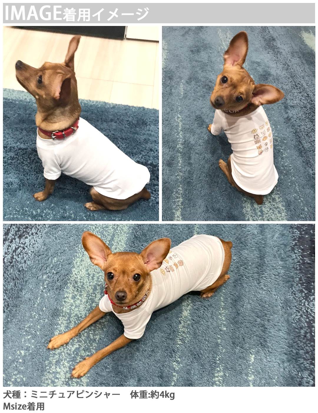 Petw 【楽天市場】犬専用Tシャツ 選べる5size 小型犬 袖あり 半袖 ホワイト デザイン T shirt XS S M L XL ペットウェア ...