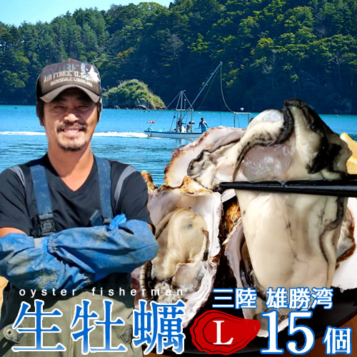 三陸カキ 生牡蠣 殻付き 特大L 15個 生食用 生ガキ 大粒牡蛎 宮城県 石巻産 漁師直営店 お取り寄せ 新鮮生がき産地直送［産直海鮮ギフト］