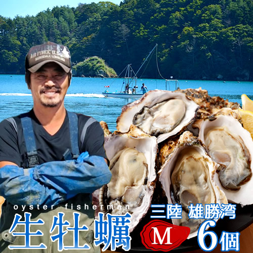 数量限定　生牡蠣　カキ　10キロ　軍手ナイフ付　伊万里湾産　送料無料 牡蠣 サイズ無選別 4kg 冷凍牡蠣 送料無料 桃こまち 鳥羽産
