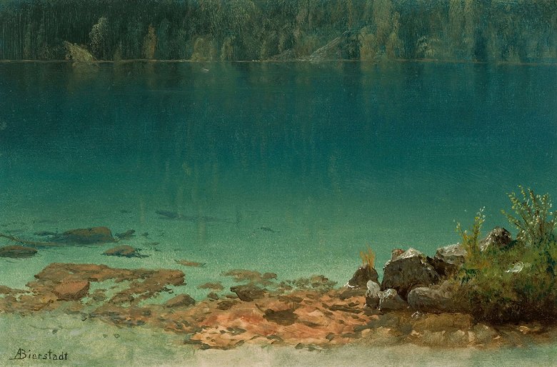 春夏新作 アルバート ビアスタット 湖の風景 M30サイズ M30号 910x606mm 送料無料 絵画 インテリア 額入り 壁掛け複製油絵アルバート fleetpro.mu
