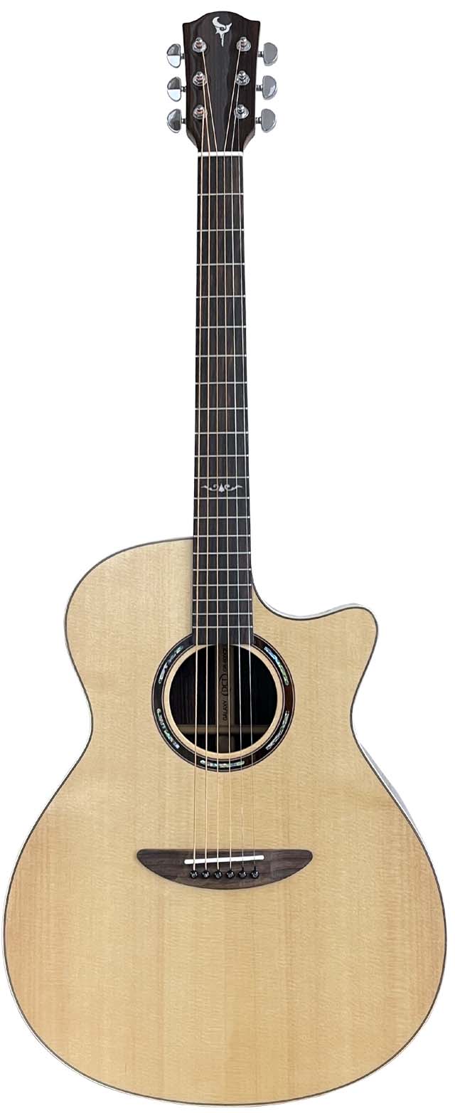 激安通販新作 岩本ギター ハードケース レッドクロコダイル ギター 