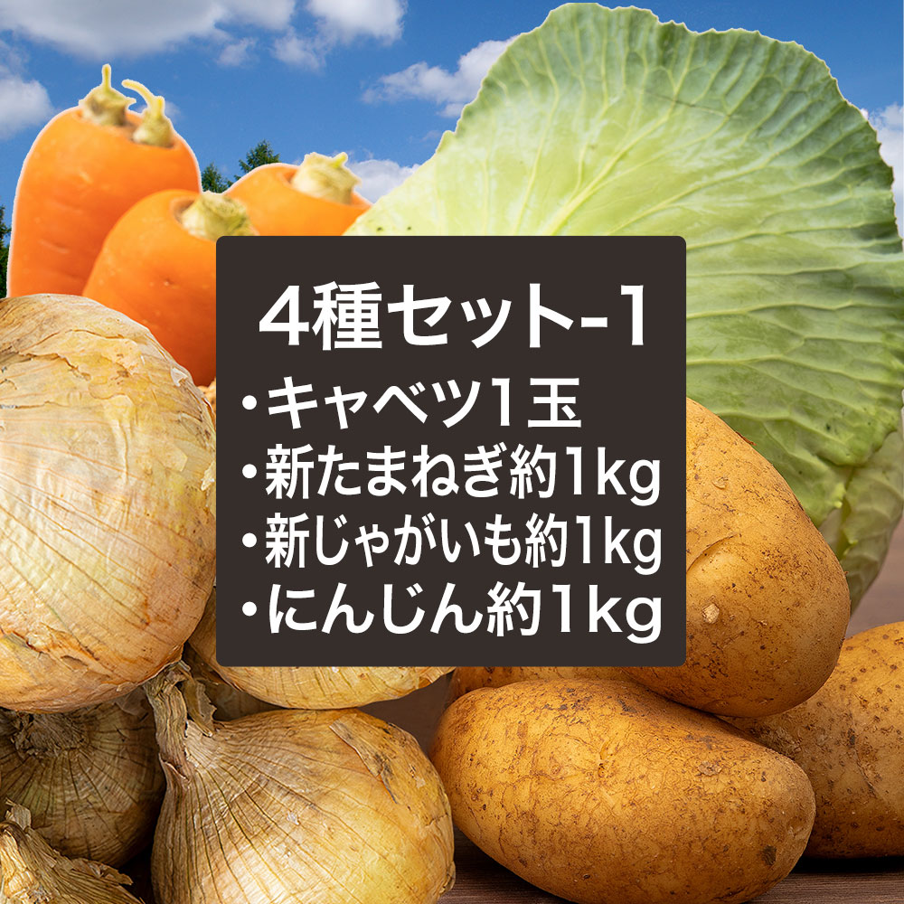 【あす楽対応】野菜セットB（キャベツ1玉・新たまねぎ約1kg・新じゃがいも約1kg・にんじん約1kg）4種セットきゃべつ 玉ねぎ ポテト 人参 定番  万能 おうちごはん おうち時間 ご家庭用 大量 | kakabit