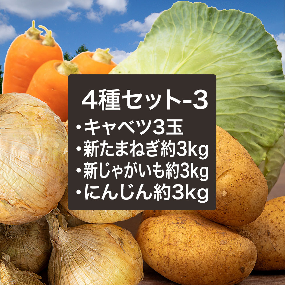 【楽天市場】【あす楽対応】野菜セットB（キャベツ1玉・新