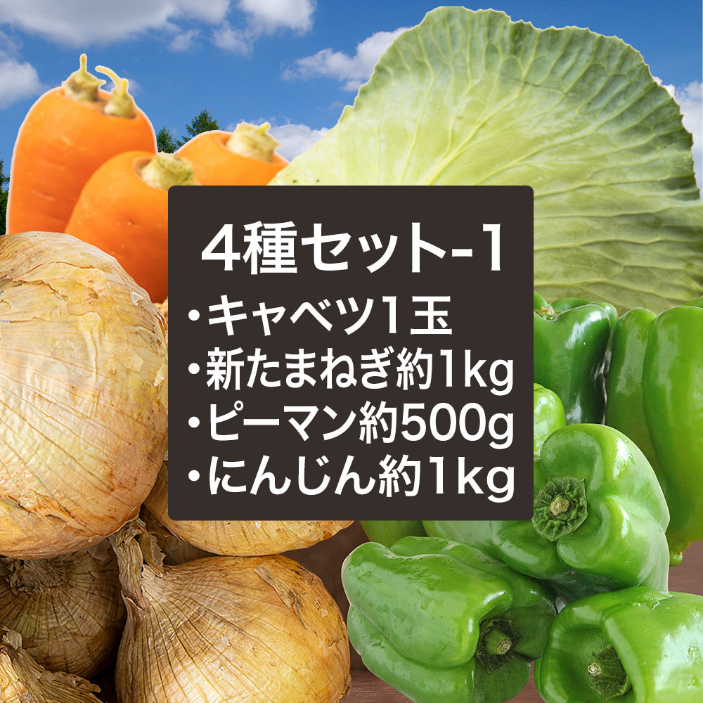 野菜セットB（キャベツ4玉・たまねぎ・じゃがいも・にんじん約4kg）4種