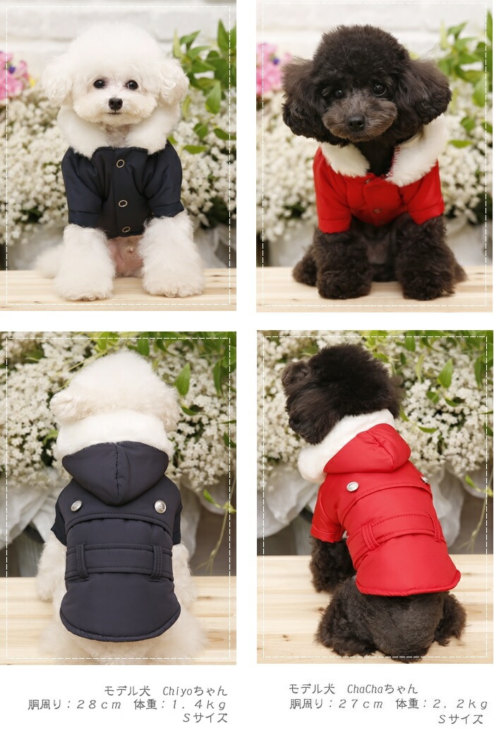 激安単価で ウィングフラワー様専用 犬服 ブルゾン カナガンドックフード ２ 新着商品 Siauliumn Lt