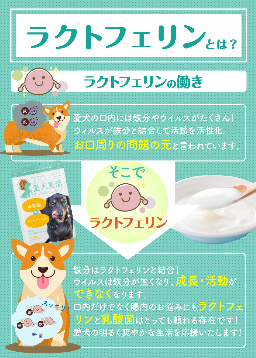 楽天市場 愛犬臭活 デンタルヘルスケア 犬 乳酸菌 猫 サプリ ラクトフェリン 15ｇ 食事にかける 粉末タイプ ペット お口 臭い サプリメント お悩み サポート おやつ 歯磨き 付属スプーン付 小型犬 中型犬 大型犬 老犬 幼犬 犬 サプリ サプリから雑貨まで 生活雑貨本舗