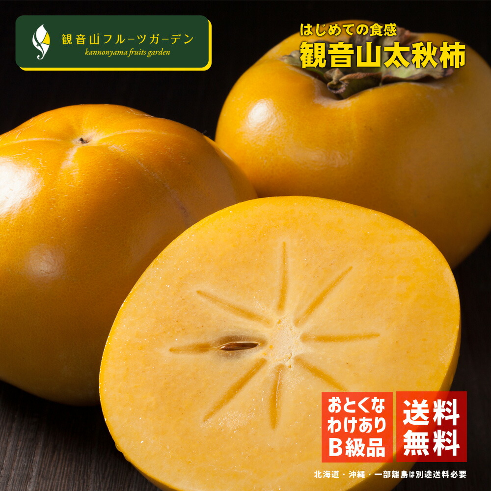 太秋柿 たいしゅうかき やんちゃ坊主 訳ありB級品 7kg  和歌山 観音山フルーツガーデン 送料無料