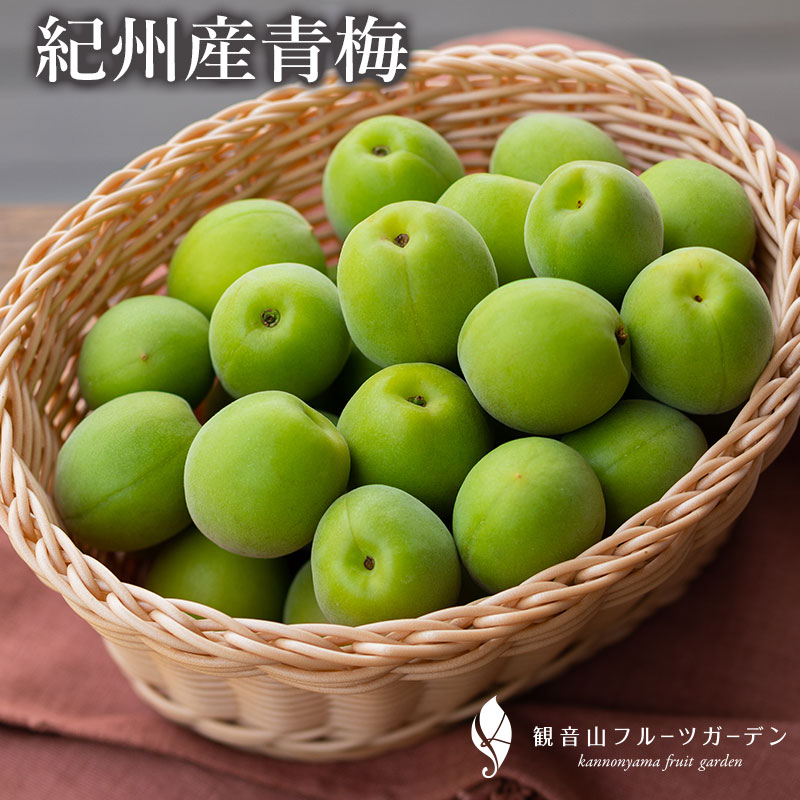 紀州梅 青梅（農家直送！） A級 7kg 和歌山県産 観音山フルーツガーデン 送料無料