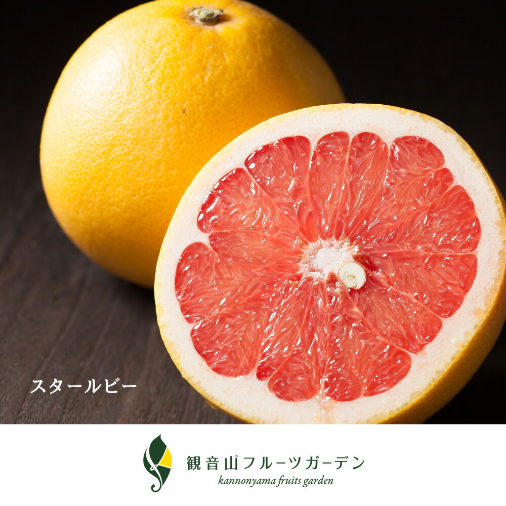 最安値に挑戦 楽天市場 和歌山 観音山 国産グレープフルーツ 訳ありえくぼ 10kg 観音山フルーツガーデン 観音山フルーツガーデン楽天市場店 激安ブランド Www Lexusoman Com