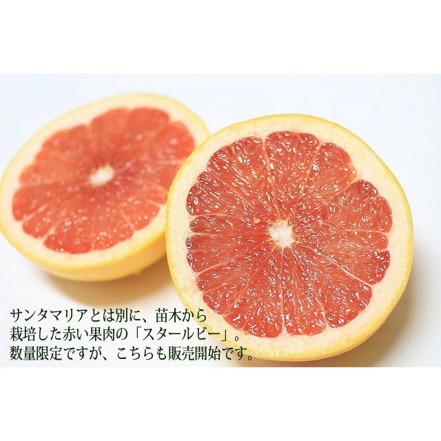 最安値に挑戦 楽天市場 和歌山 観音山 国産グレープフルーツ 訳ありえくぼ 10kg 観音山フルーツガーデン 観音山フルーツガーデン楽天市場店 激安ブランド Www Lexusoman Com