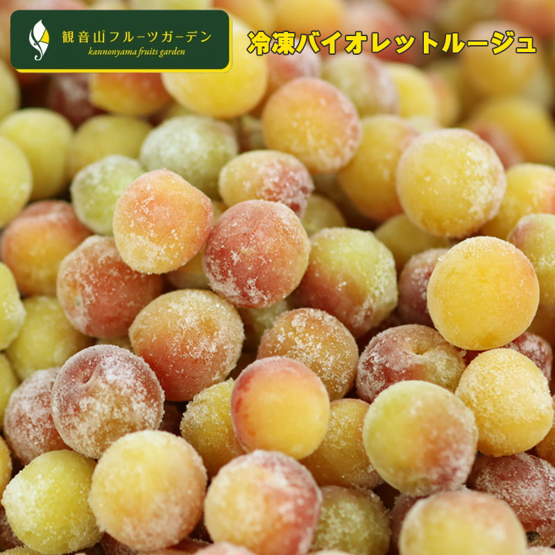 【期間限定】30％OFFクーポン配布中【冷凍梅】幻の赤い梅 和歌山県産 バイオレットルージュ 冷凍 AB混合 5kg 観音山フルーツガーデン 送料無料｜観音山フルーツガーデン店 17,468円