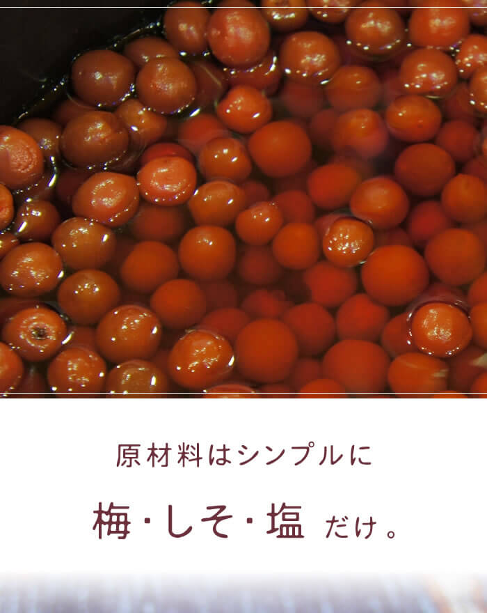 昔ながらの梅干し和歌山紀州産みなべの小梅しそ梅