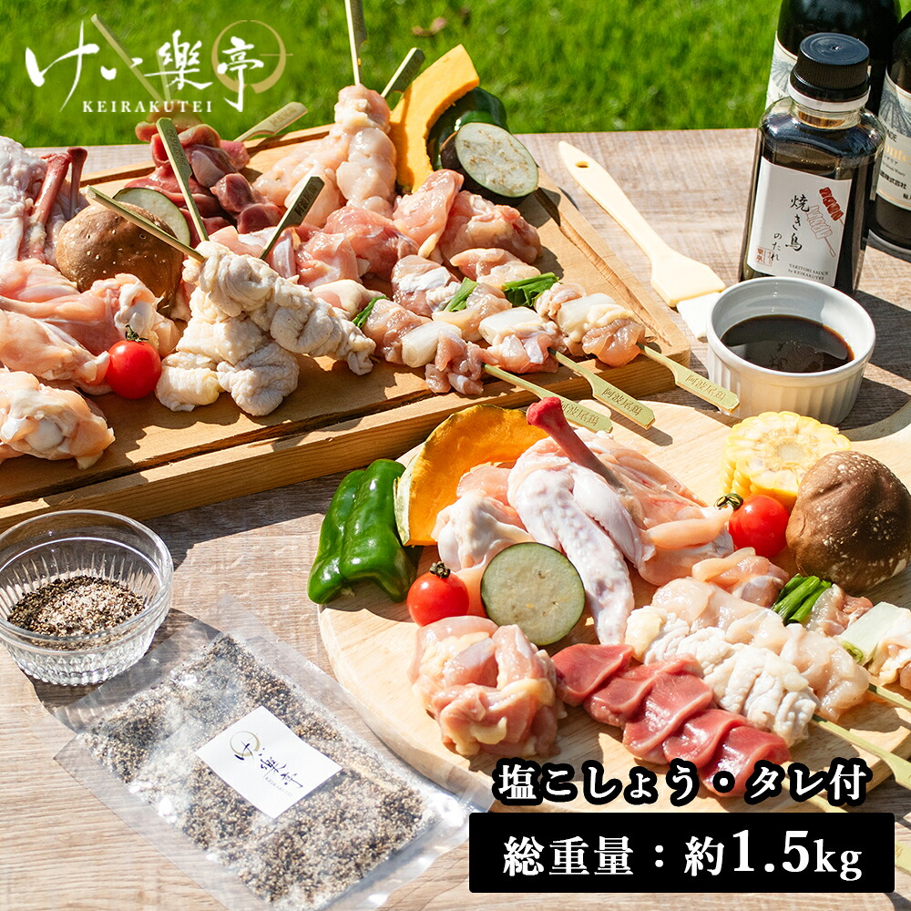 【送料無料】阿波尾鶏 バーベキューセット【焼き鳥のたれ・塩胡椒付き】けい樂亭 お中元 御中元 地鶏 鶏肉 やきとり 焼鳥 串焼き 焼きとり もも ねぎま むね 皮 砂肝 手羽先 手羽元 キャンプ BBQ ギフト グルメ 徳島 けい楽亭 けいらく亭