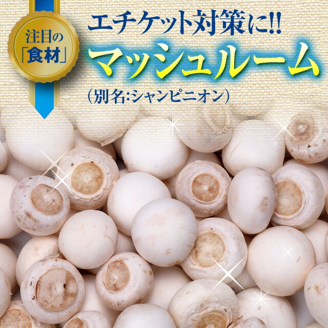 爽臭革命【送料無料!】お得な5%OFFの5袋セット!!エチケットエチケット習慣シャンピニオンエキスビフィズス菌オリゴ糖有胞子性乳酸菌フィトンチット