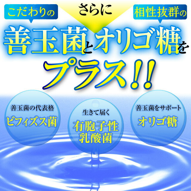 爽臭革命【送料無料!】お得な5%OFFの5袋セット!!エチケットエチケット習慣シャンピニオンエキスビフィズス菌オリゴ糖有胞子性乳酸菌フィトンチット