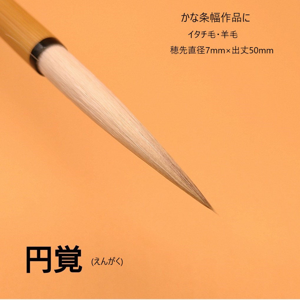 人気ブランド 創業寛文12年菊屋監製 円覚 書 書道 筆 毛筆 兼毫筆 仮名条幅 かな 大字仮名 作品製作 公募展 イタチ毛 羊毛 新発売の Www Turismoenelejecafetero Com