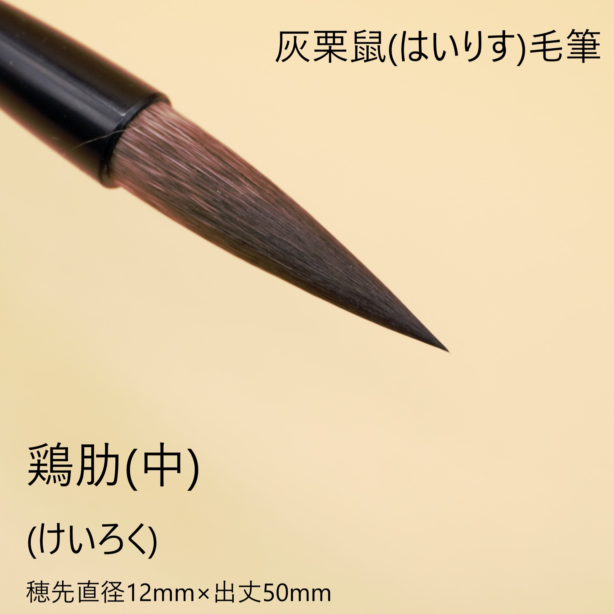 楽天市場】1本から【送料無料】『雞肋』短鋒 創業寛文12年菊屋監製 書 書道 筆 毛筆 灰栗鼠毛 灰栗鼠毛筆 条幅 作品製作 書きやすい 書きやすい筆  おすすめ おすすめ商品 オススメ オススメ商品 : 創業寛文12年 菊屋楽天市場店