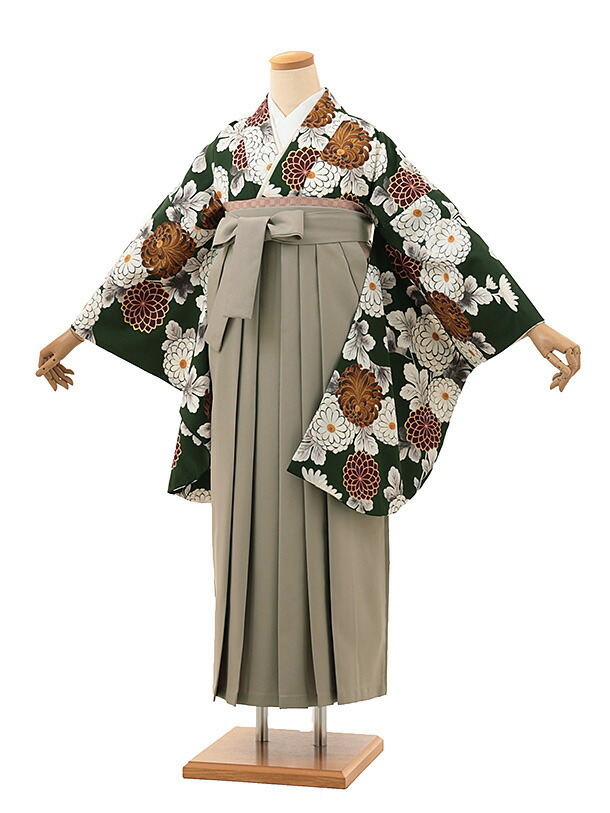 卒業式袴レンタルA195 抹茶色 菊×グレージュ袴 卒業式 袴 レンタル 女性 卒業式袴 フルセットレンタル 大学生 はかま 女性 卒業袴セット 卒業式袴レンタル セット 大学 袴セット 卒業袴レンタル 着物レンタル 卒業式袴レンタル 往復送料無料【レンタル】
