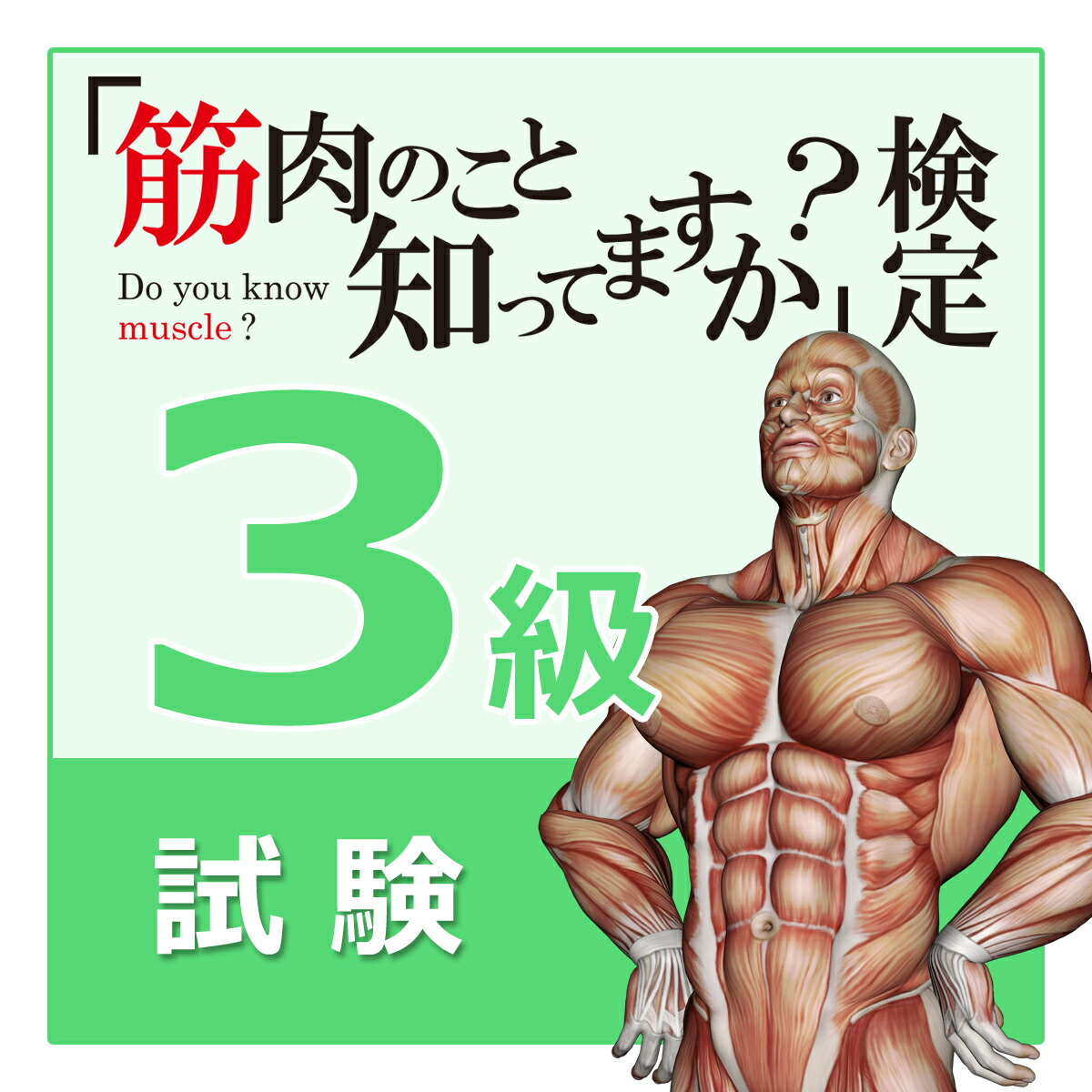 楽天市場】【アウトレット価格】《10％OFF》書籍「臨床で役立つ